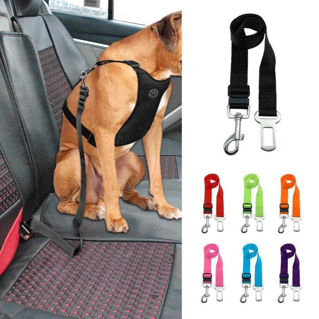 Safety Seat Belt for Dogs