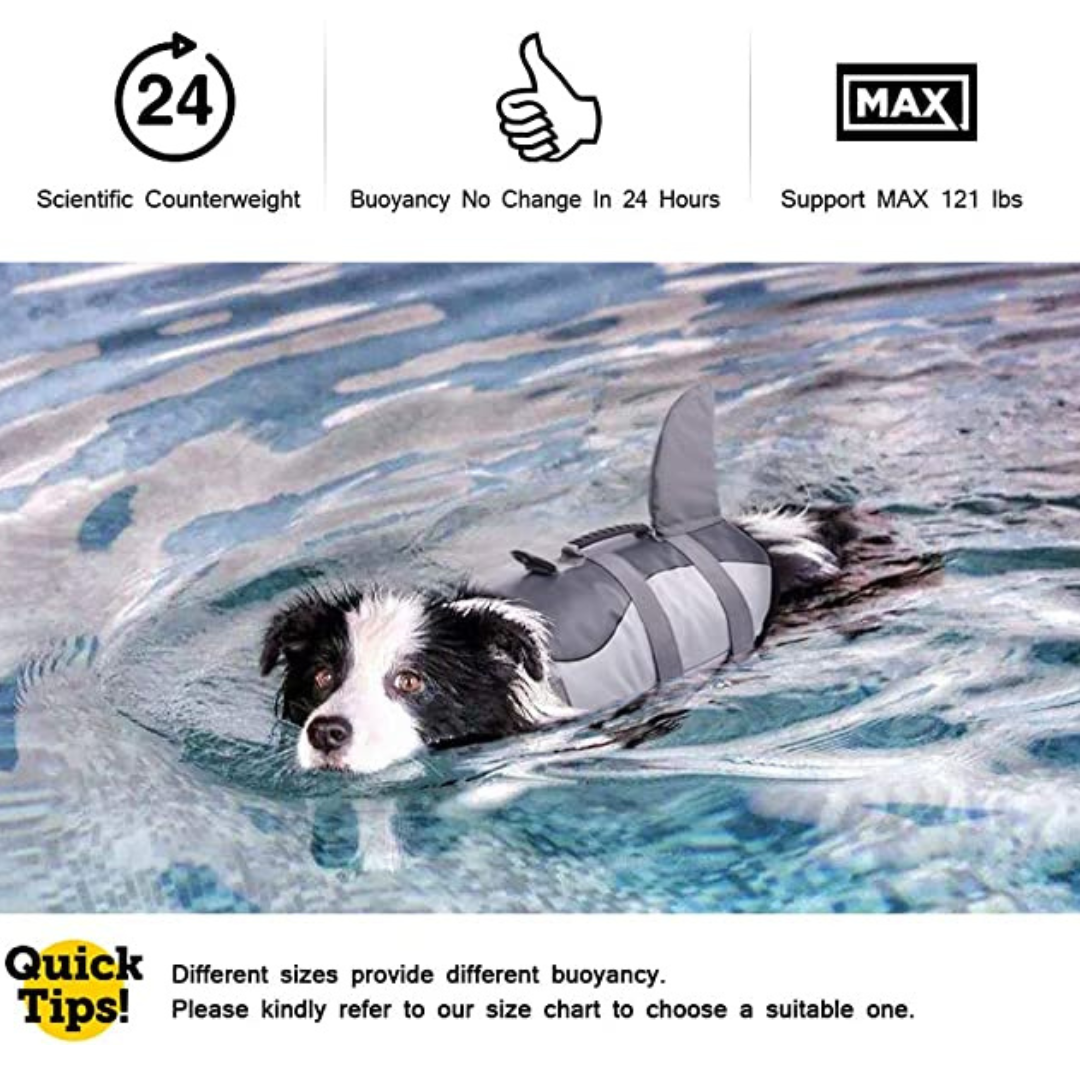 Shark Life Jacket