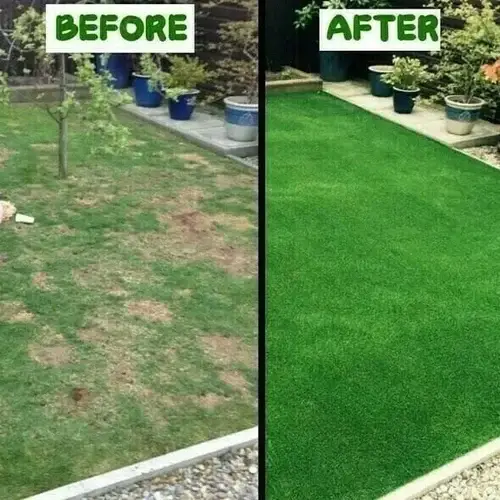 🌳Grass Seed Mat: The Perfect Solution For Your Lawn Problems -Without Seed