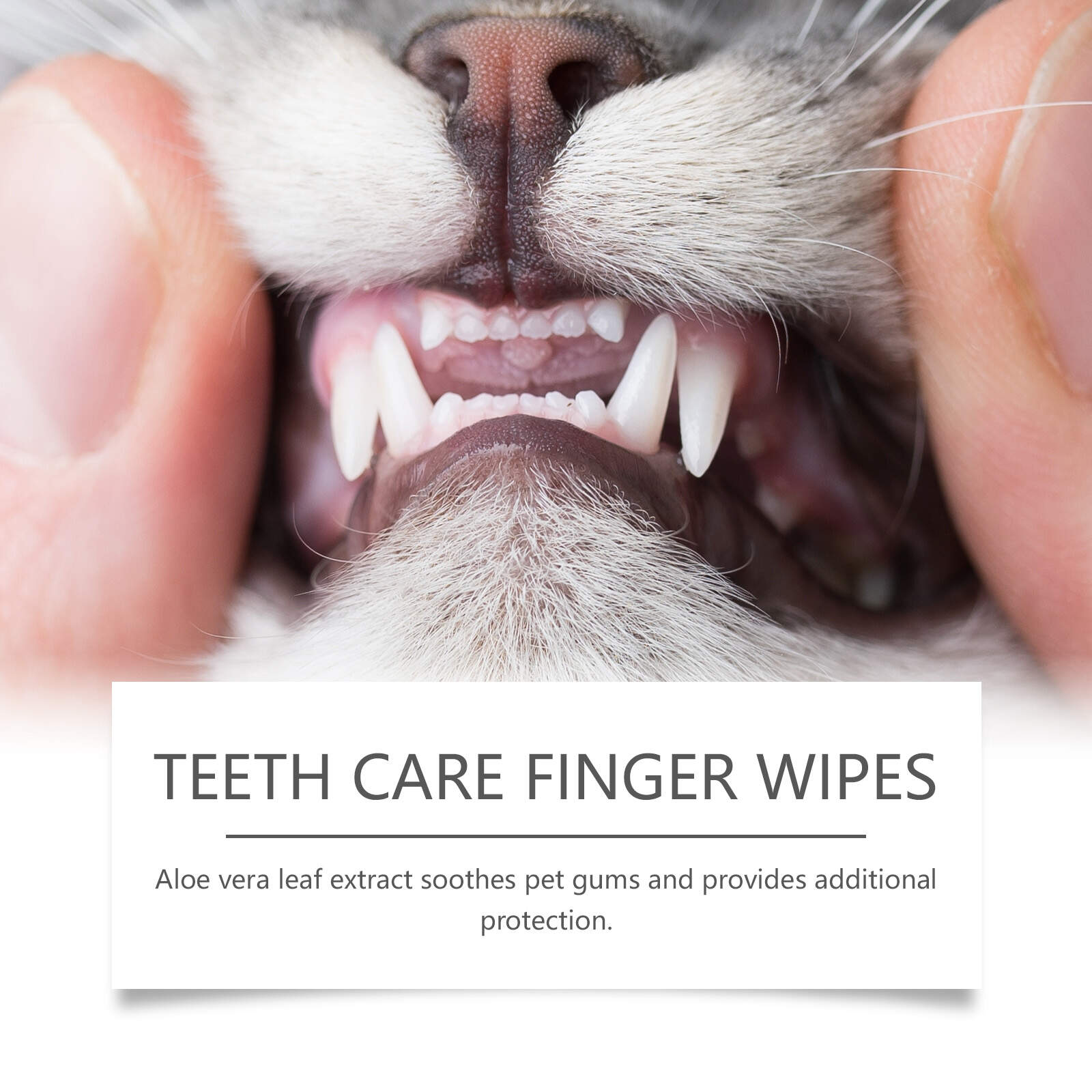 Teeth Care Finger Wipes