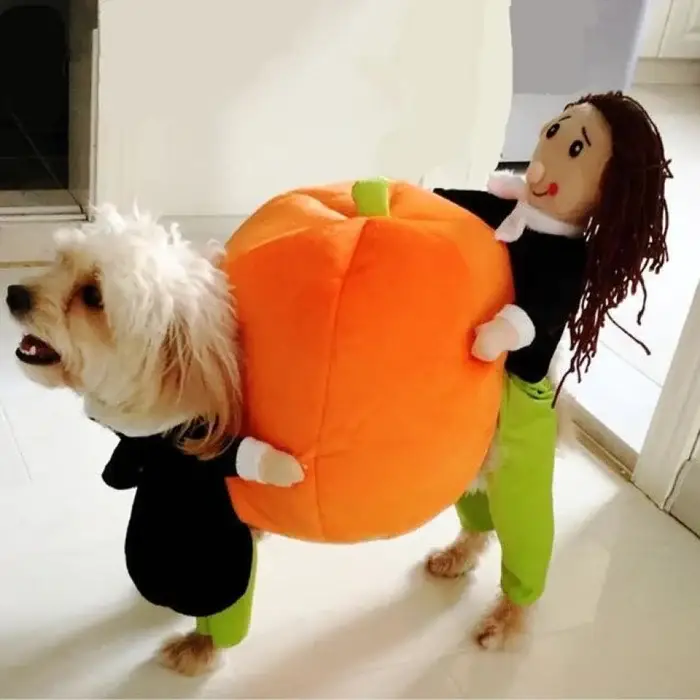 🎃Halloween Special 49% OFF🎃Dog & Cat Pumpkin Halloween Costume(BUY 2 GET FREE SHIPPING）