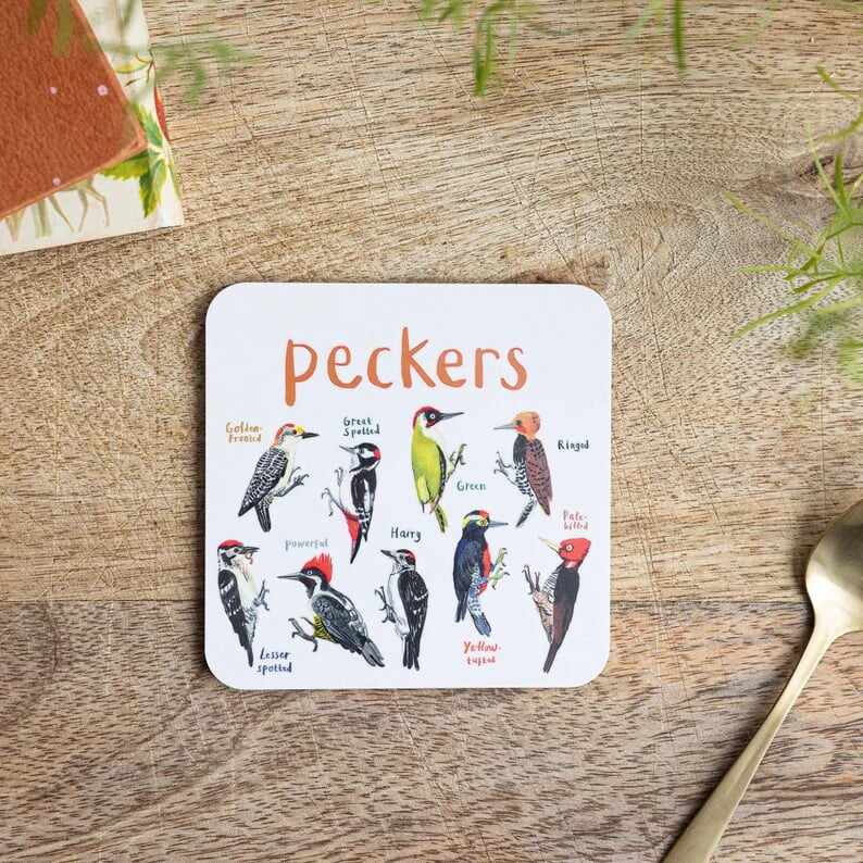 Last Day 70% OFFSet of 6 Bird Pun Coasters