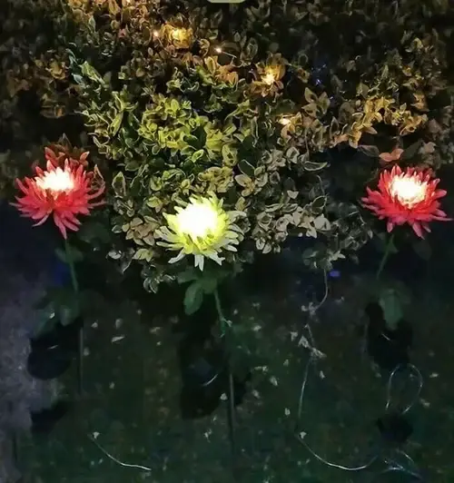 🎁Best Mother's Day Gift Of 2023🎁Outdoor Chrysanthemum Solar Garden Stake Decor Lights