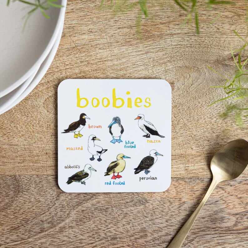 Last Day 70% OFFSet of 6 Bird Pun Coasters