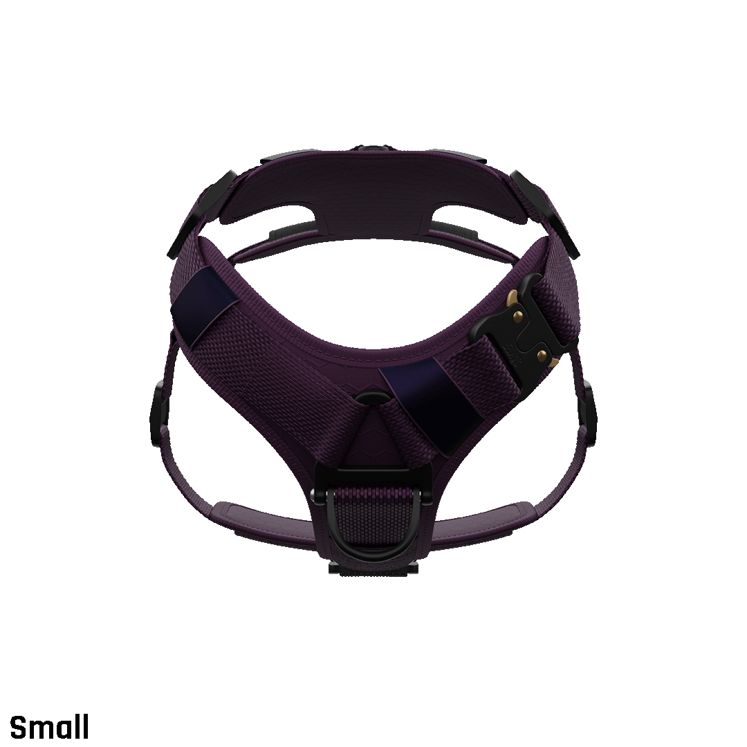 Ascension Core Harness - Prairies Purple