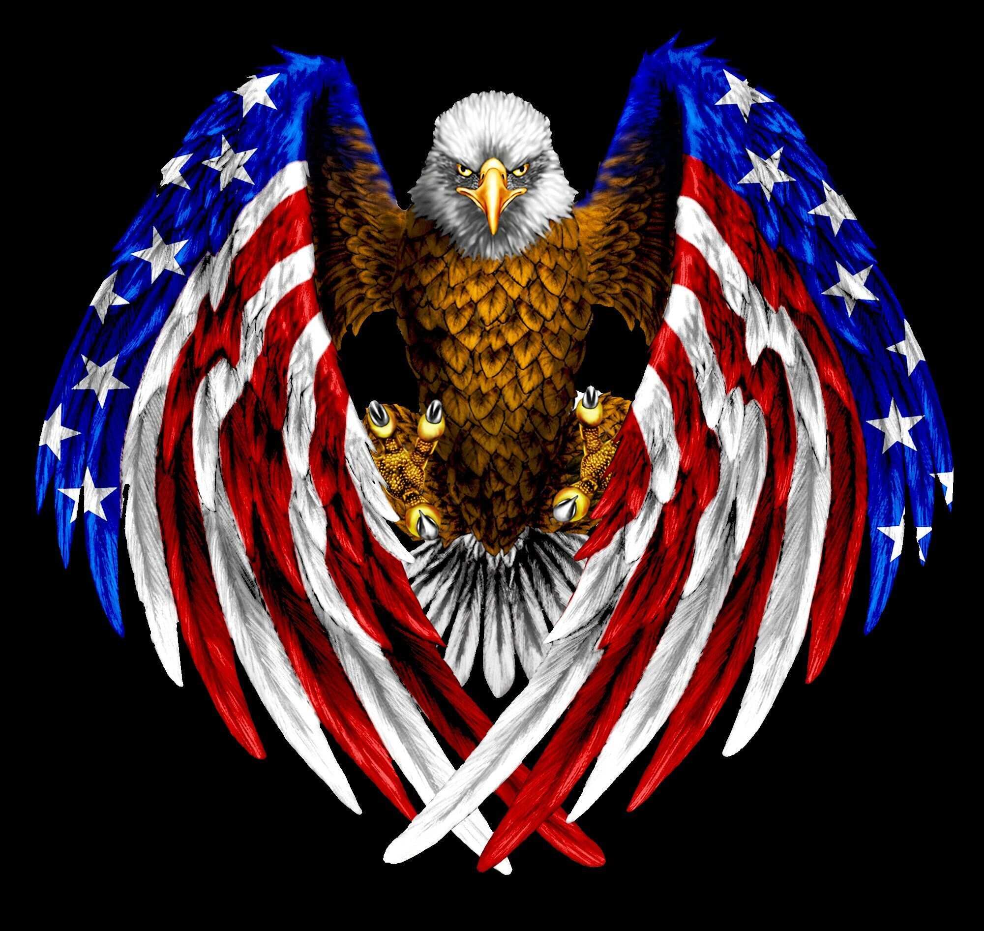 Eagle Patriotic Independence Day Garage Door Mural