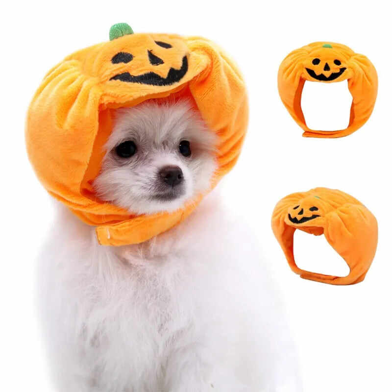 Cute Pet Pumpkin Hat Halloween