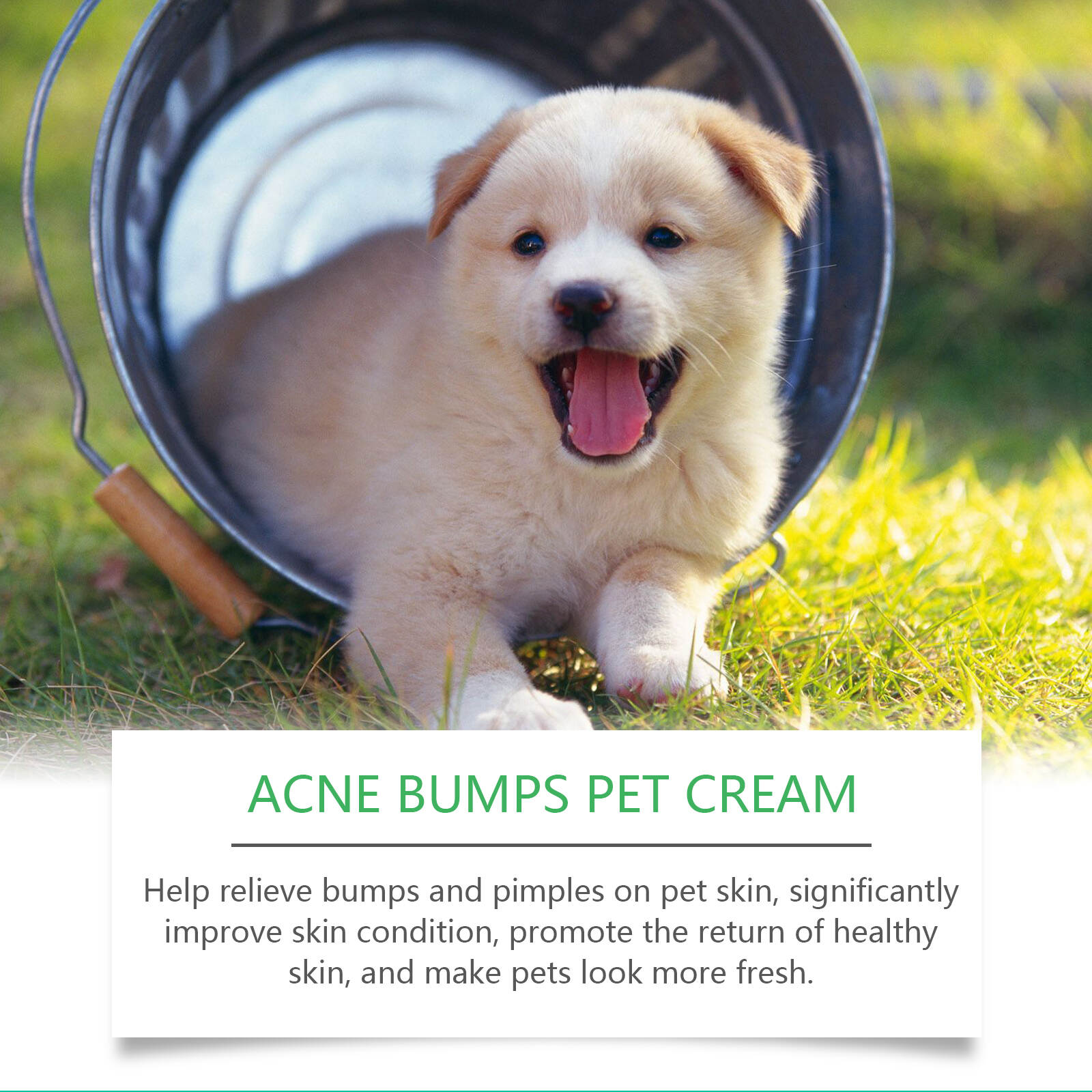 Acne Bumps Pet Cream