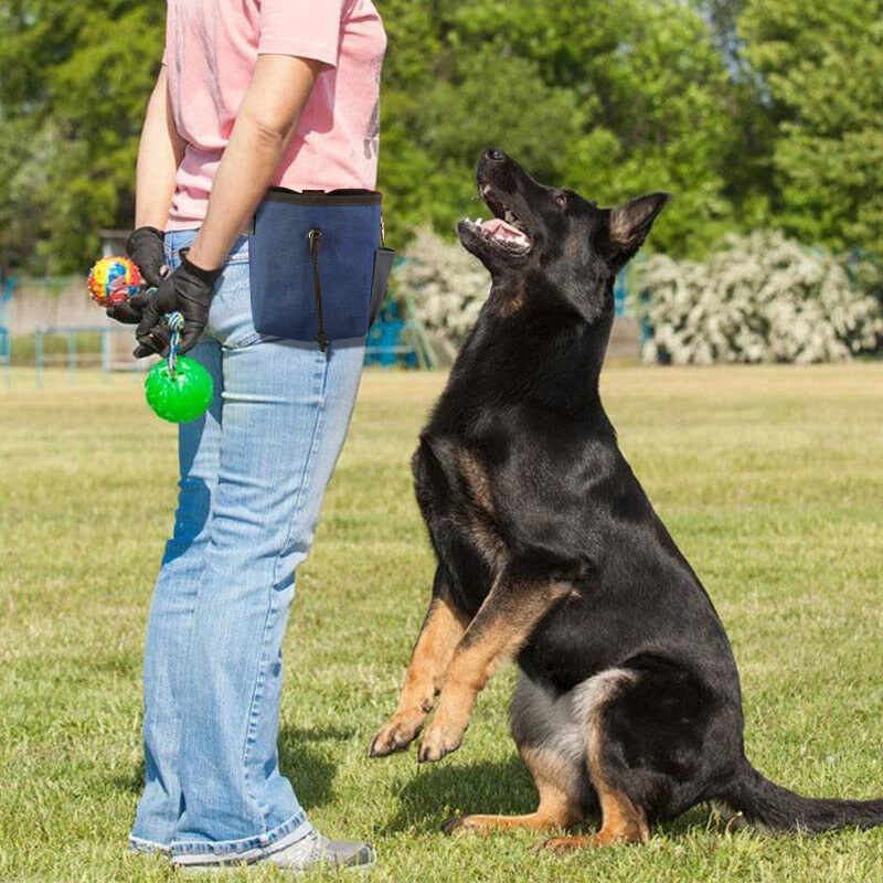 Pet Training Purse Treat Bag