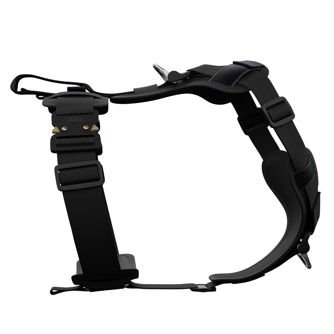 Ascension Core Harness - Black