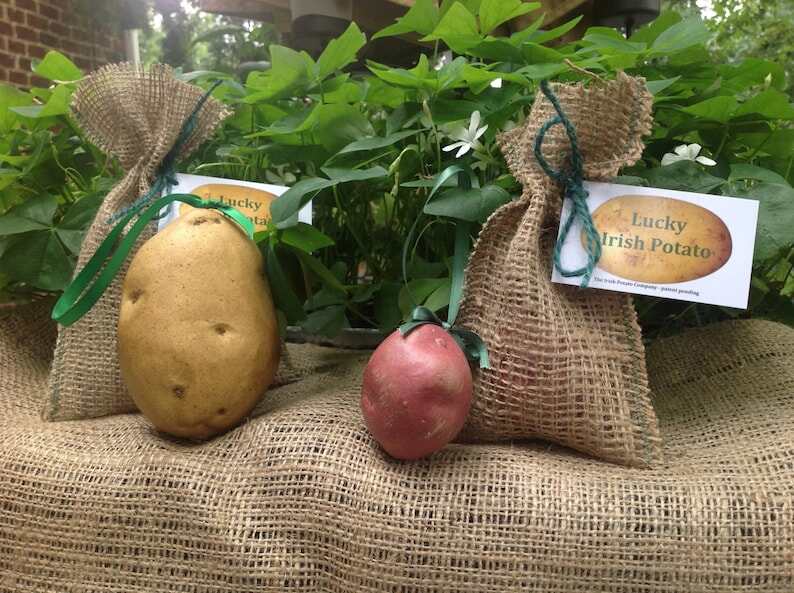 Irish ornament, looks like a real potato. Very cute!