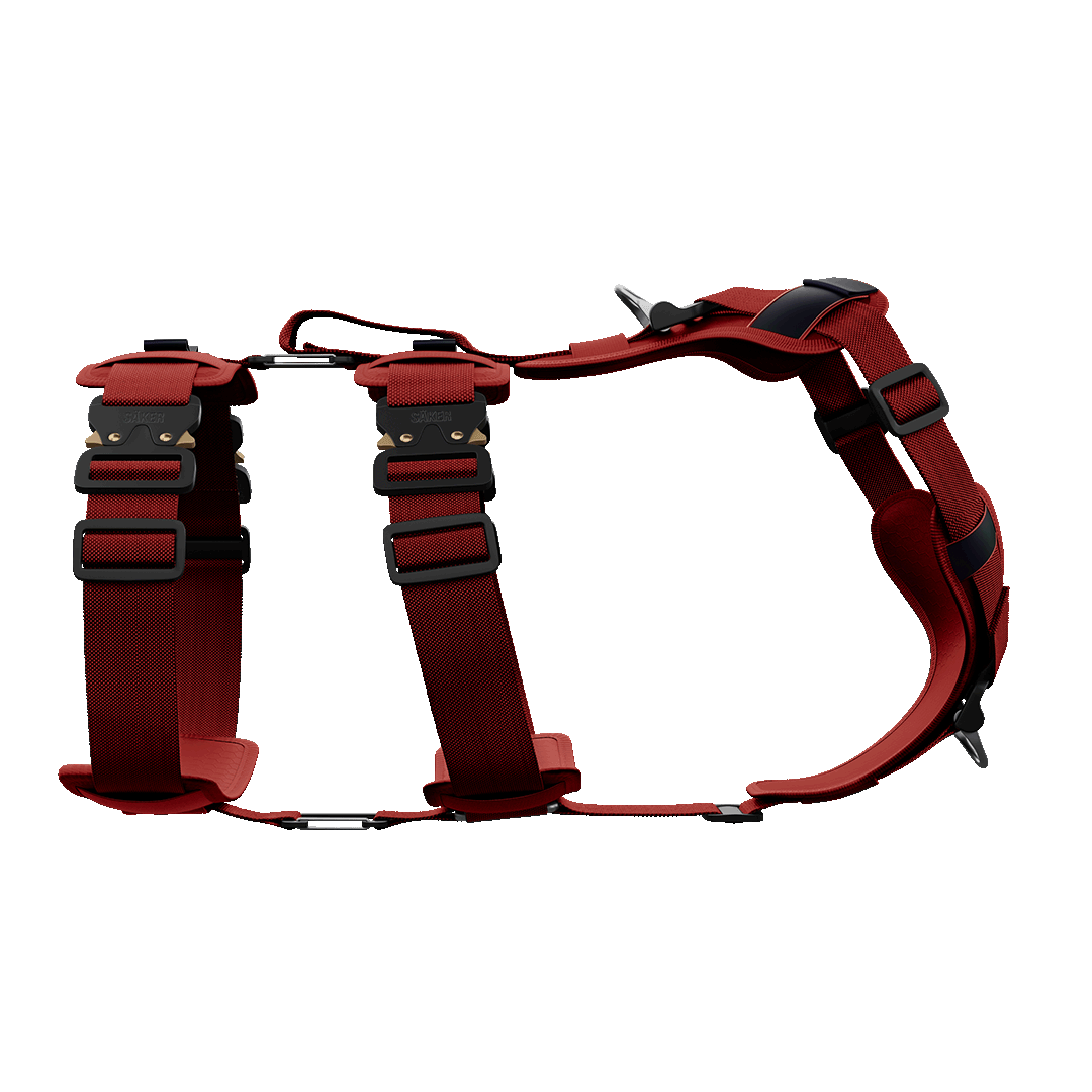 Ascension Extended Harness - Blazing Red