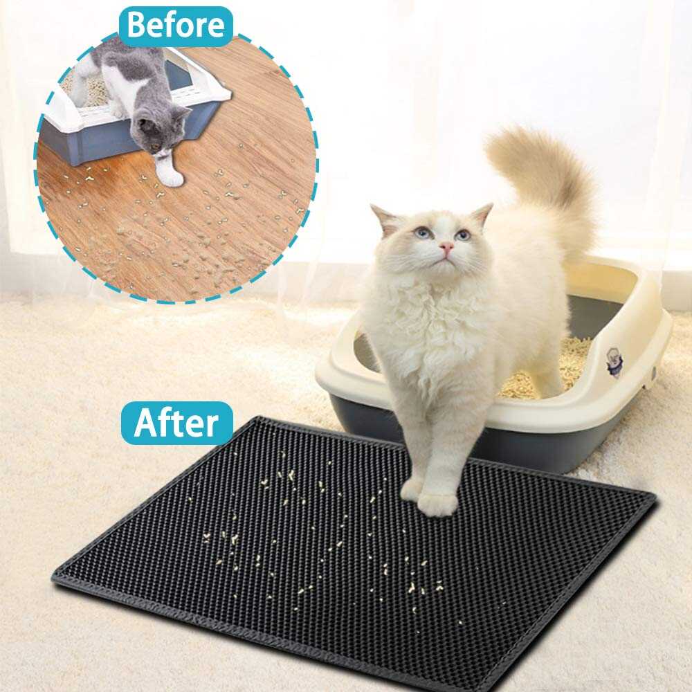 Clean Paw-Litter Mat