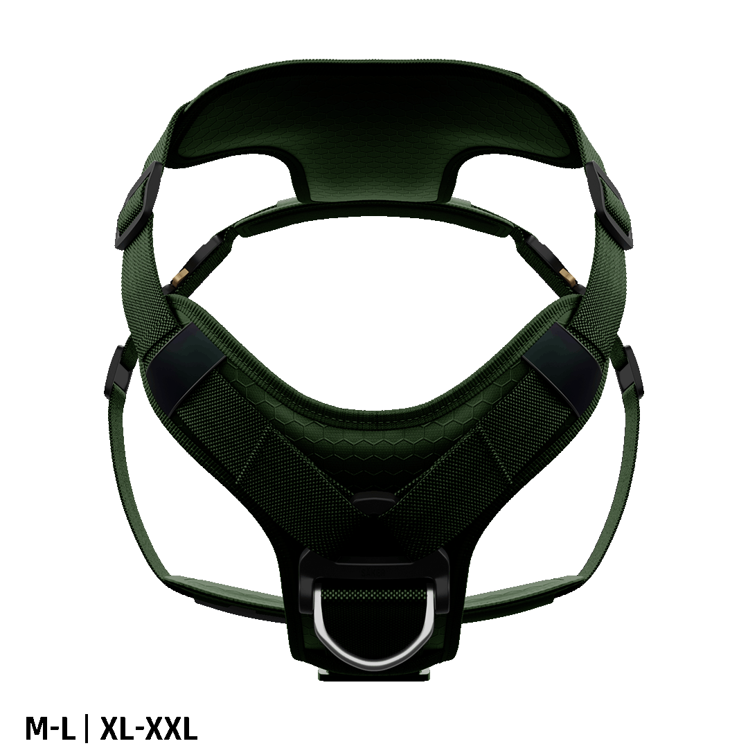 Ascension Core Harness - Woodland Green