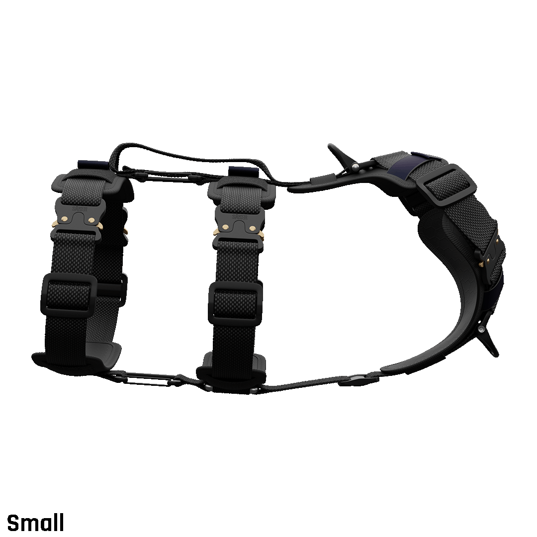 Ascension Extended Harness - Black