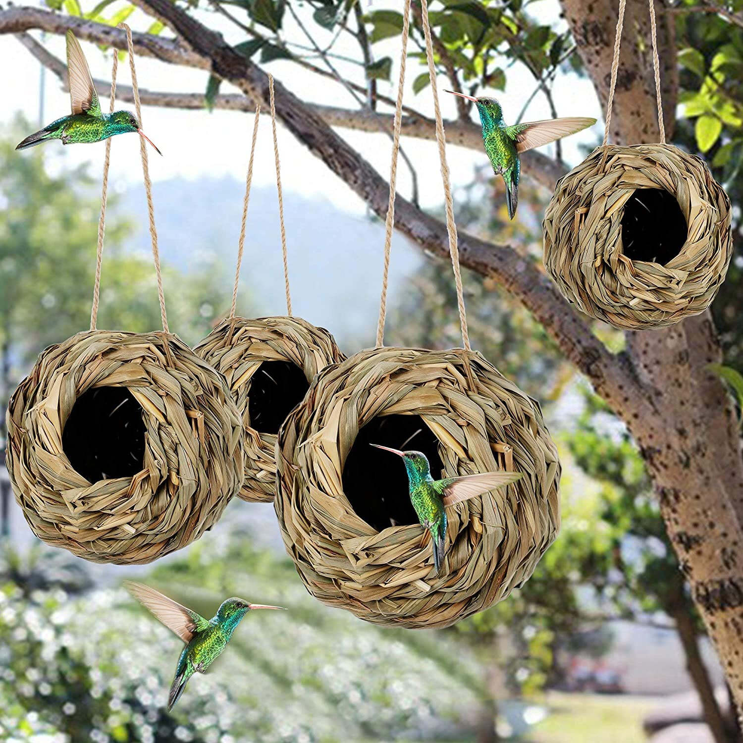 Hummingbird Nest House