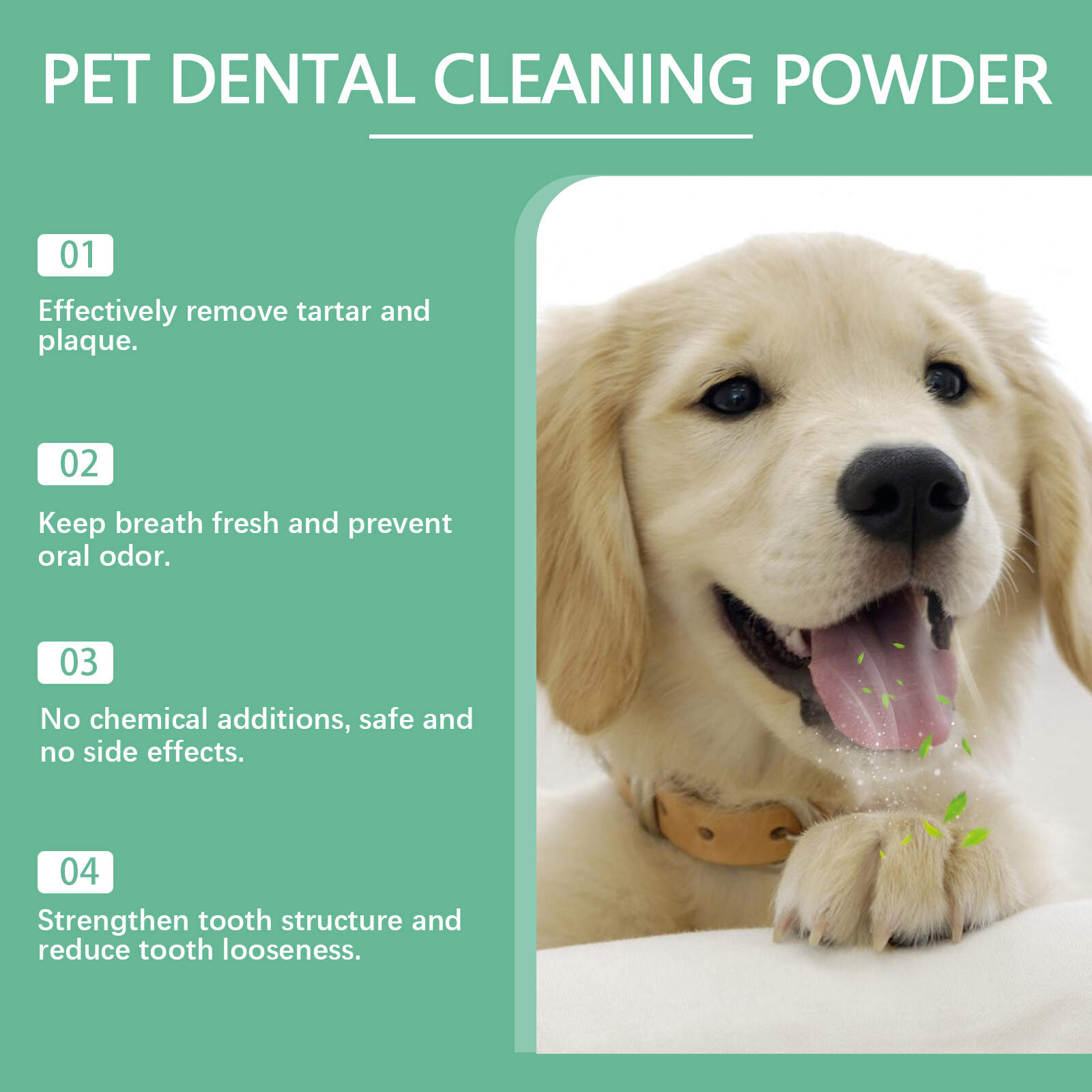 Pet Dental Cleaning