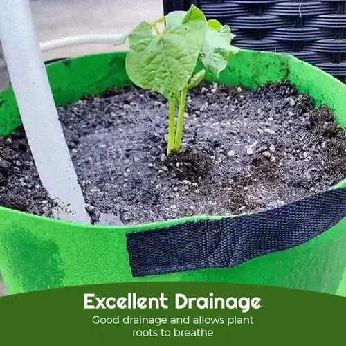 🔥Spring Promotion 48% OFF - Fabric Vegetable Plant Growth Bag (BUY 5 GET 40% OFF)