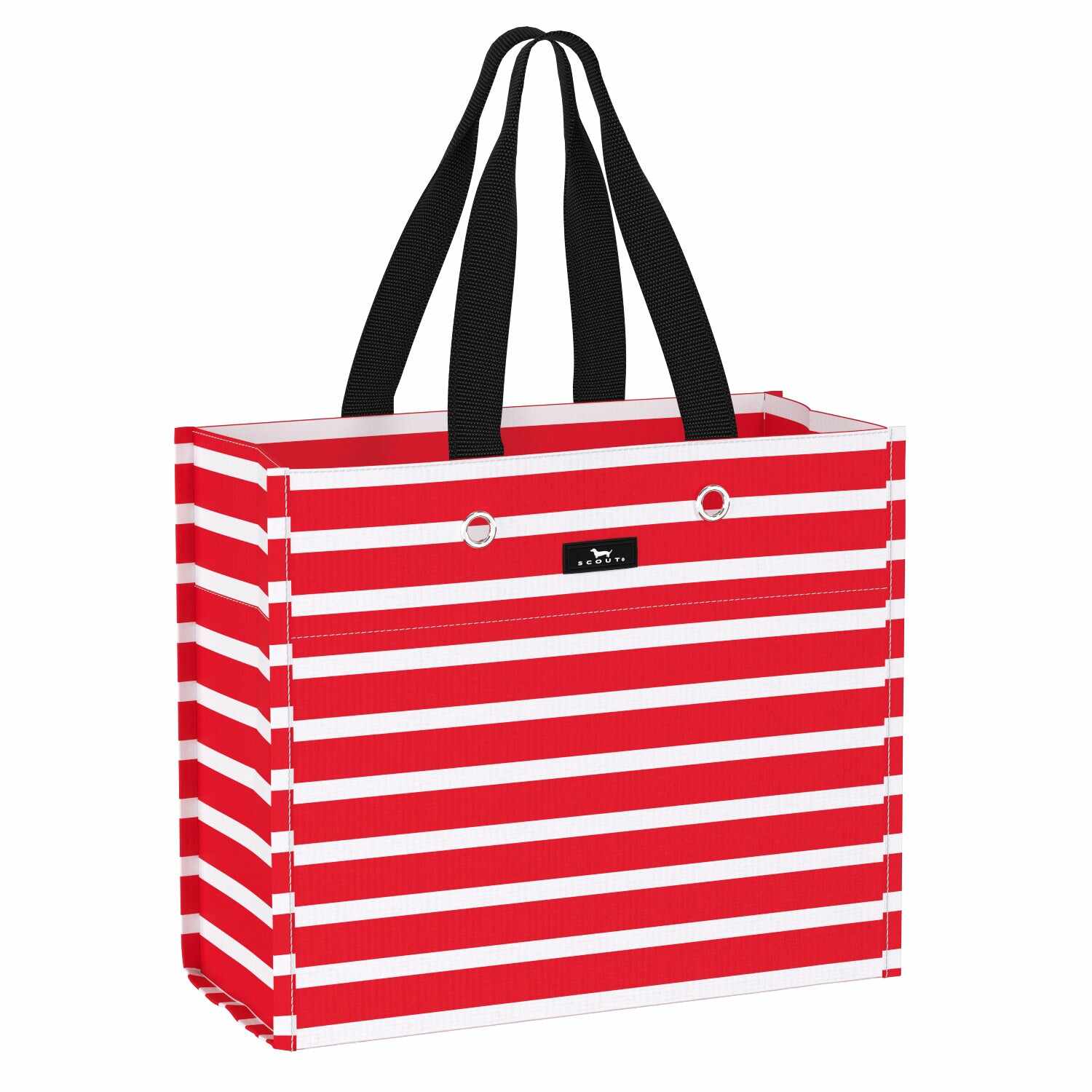 Large Package Gift Bag