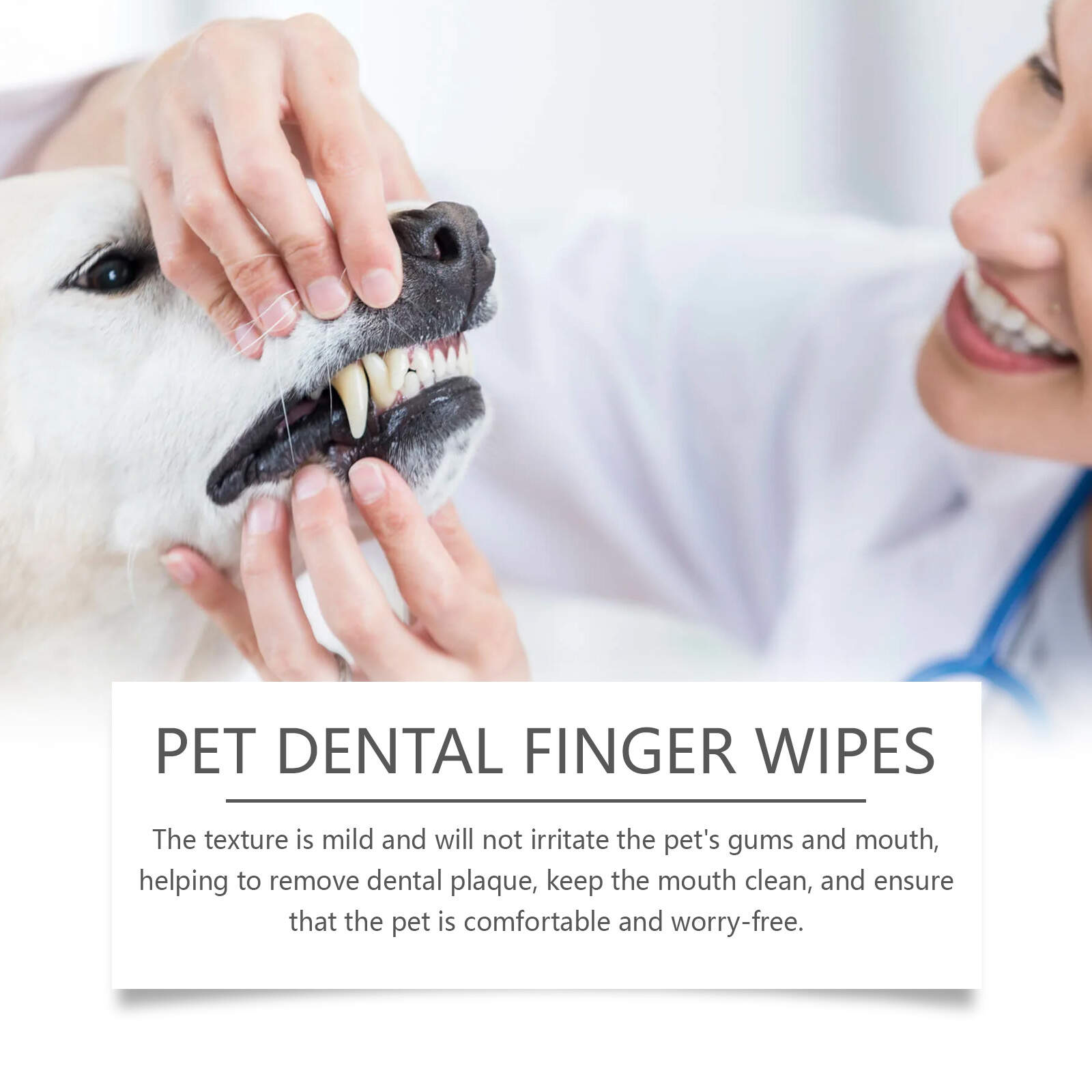 Pet Dental Finger Wipes