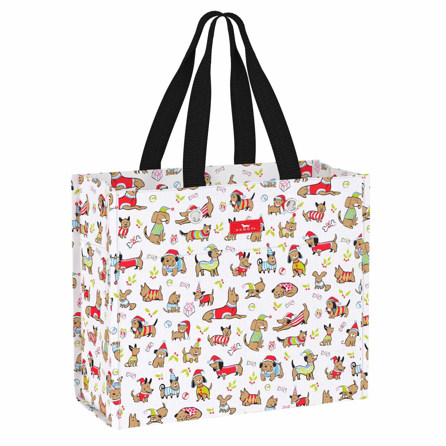 Large Package Gift Bag