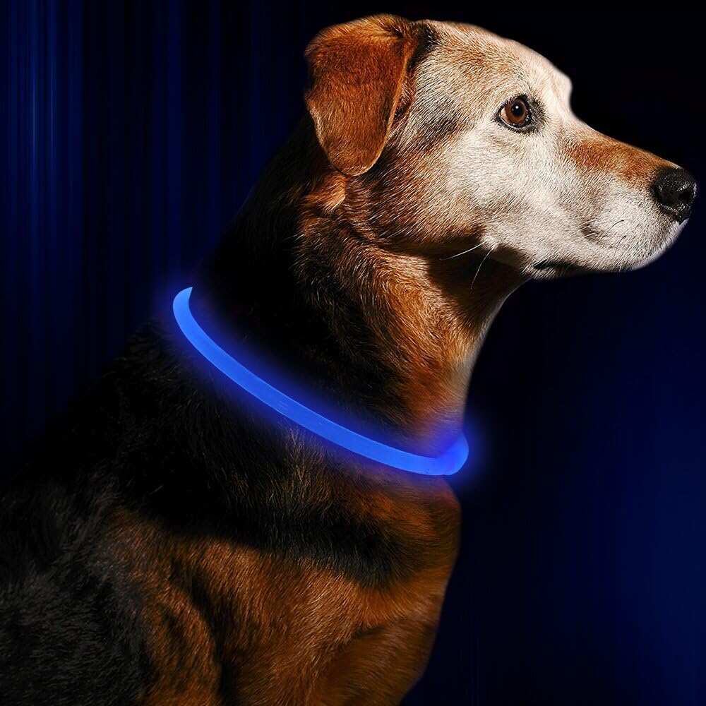 Pet luminous collar