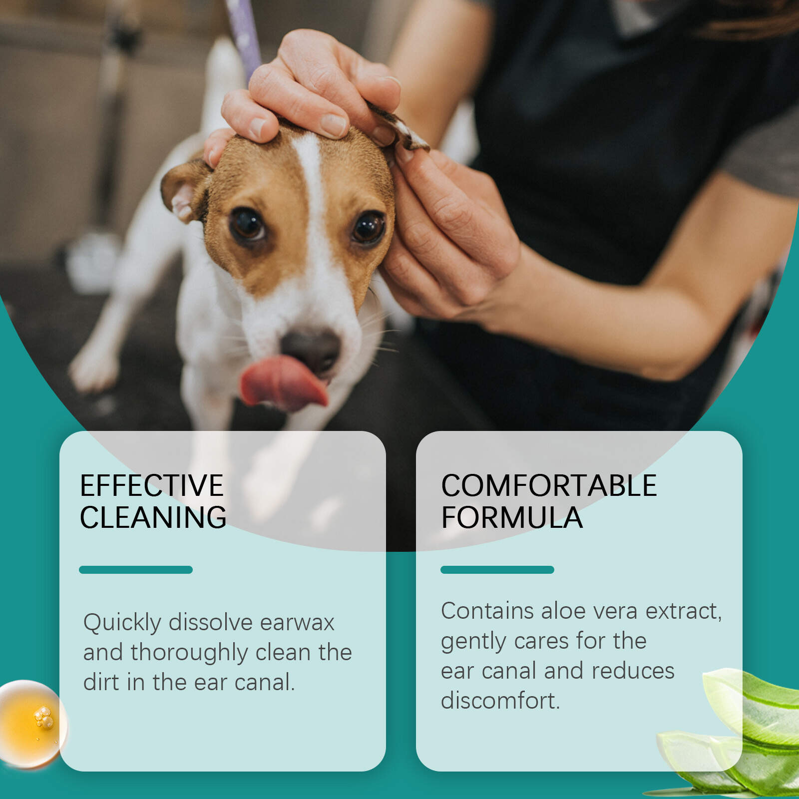 Ear Mite Solution For Pets