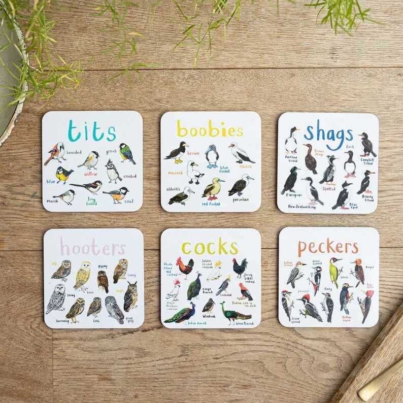 Last Day 70% OFFSet of 6 Bird Pun Coasters