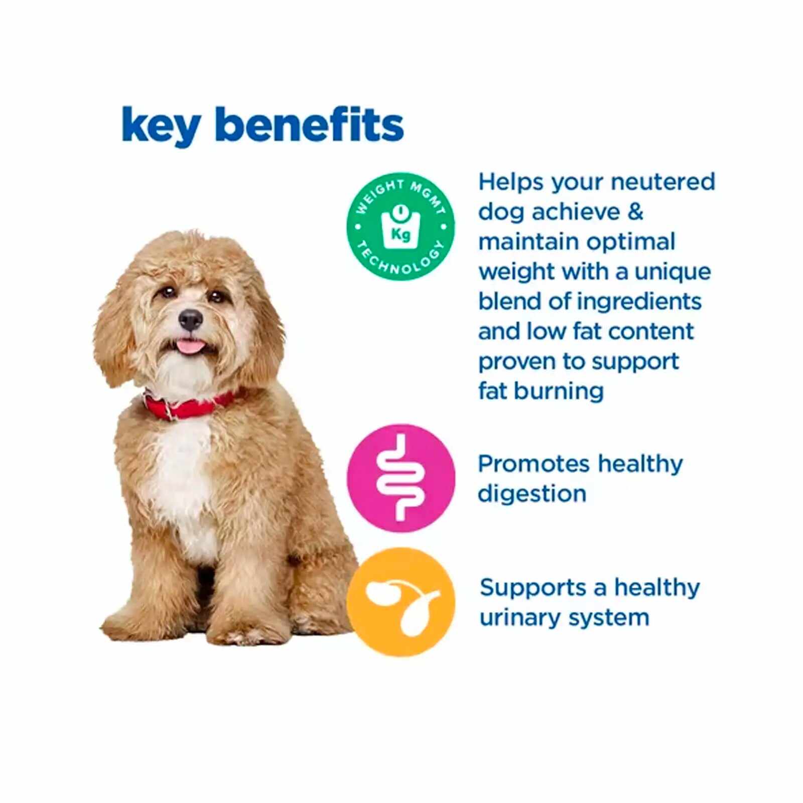 Hill's VetEssentials Diet - Canine Neutered Adult Small & Mini 2kg
