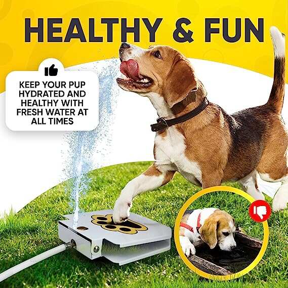 AquaPaws Outdoor Dog Water Fountain