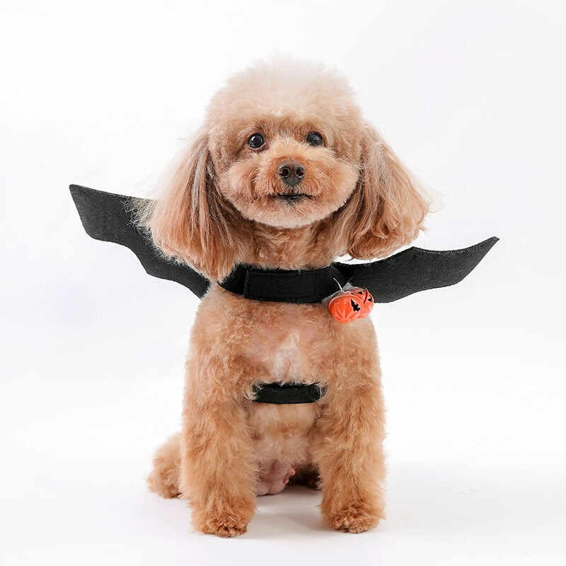 Cat Halloween Costume Bat Wings