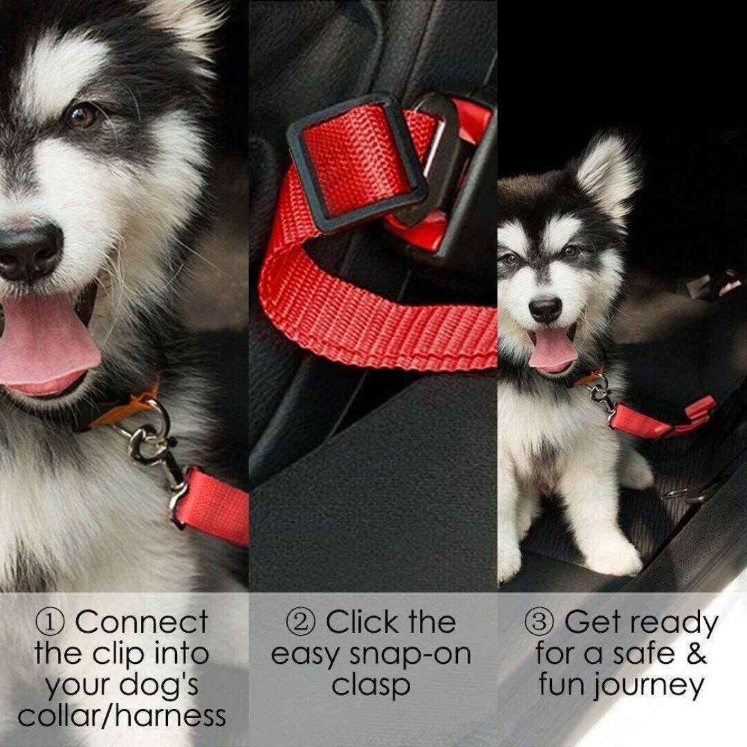 Safety Seat Belt for Dogs