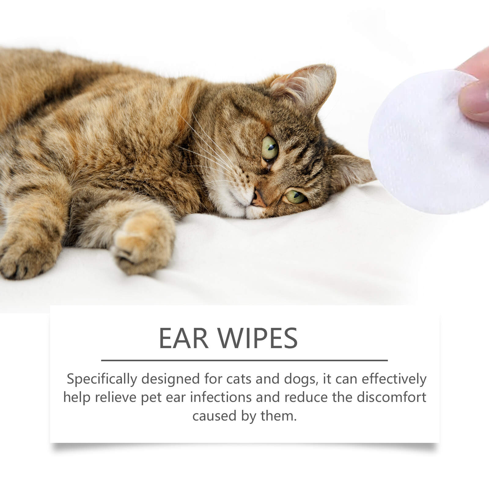 Ear Wipes