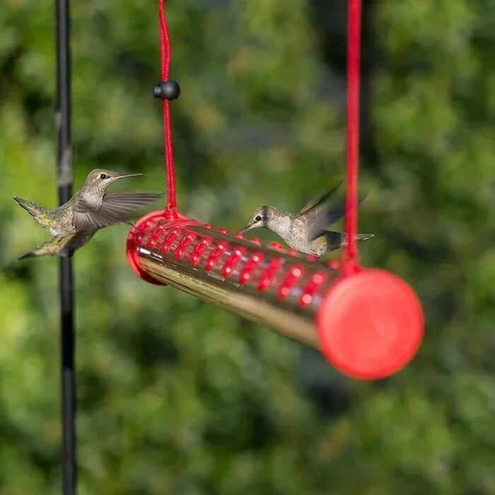 LAST DAY 49% OFF-Flower bar hummingbird feeder