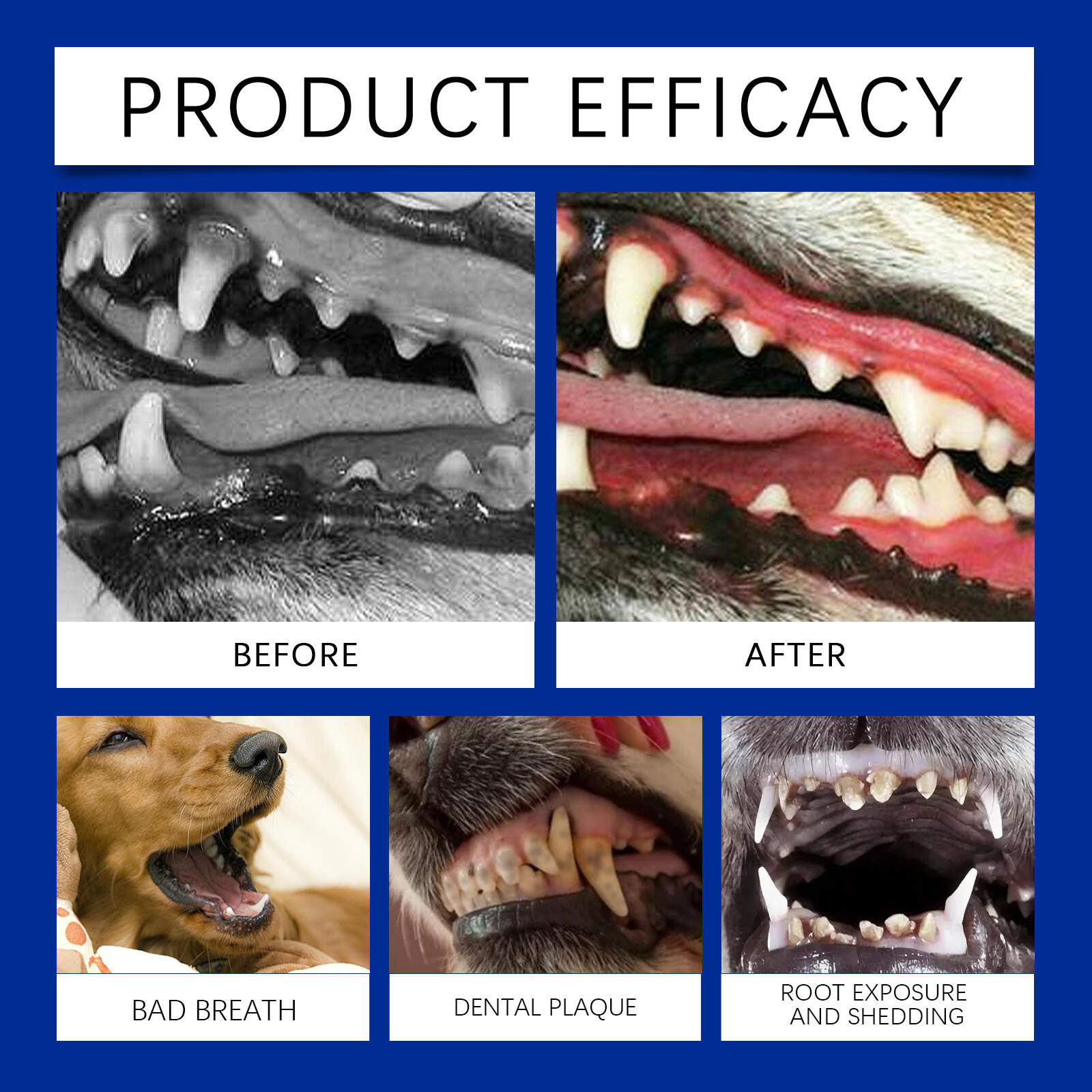 Pet Dental Cleaning Powder