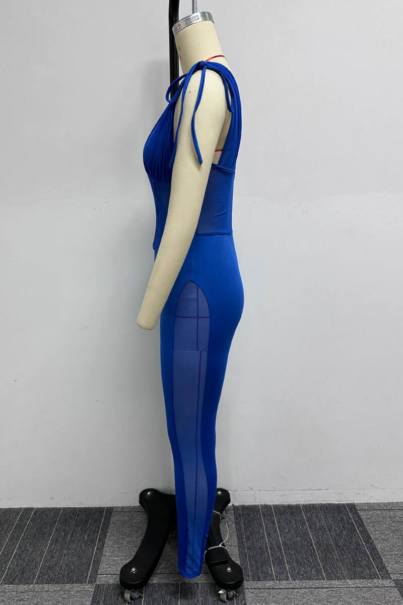 Blue Sexy Casual Daily Patchwork See-through Solid Color Spaghetti Strap Skinny Jumpsuits