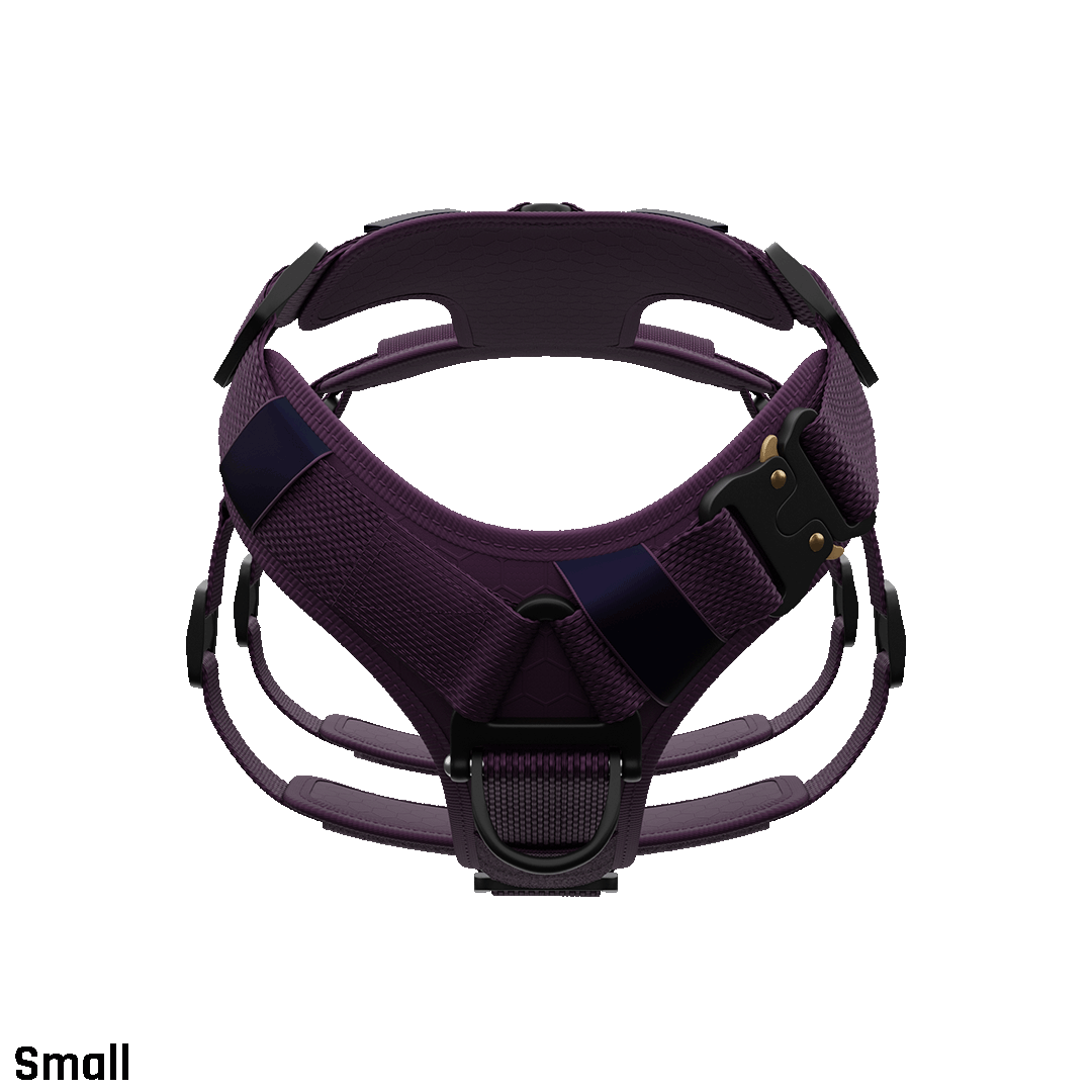 Ascension Extended Harness - Prairies Purple