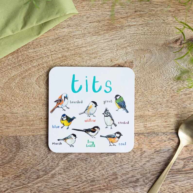 Last Day 70% OFFSet of 6 Bird Pun Coasters