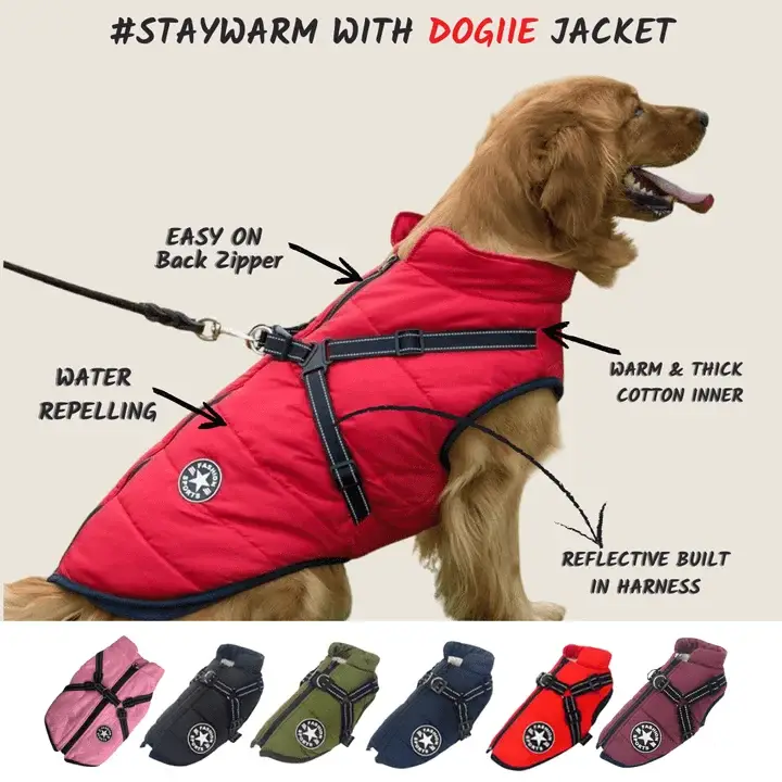 Waterproof Furry Jacket for Dogs of All Sizes