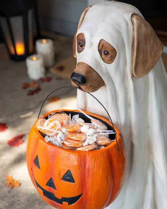 (Halloween Hot Sale 49% OFF) GHOST DOG CANDY BOWL