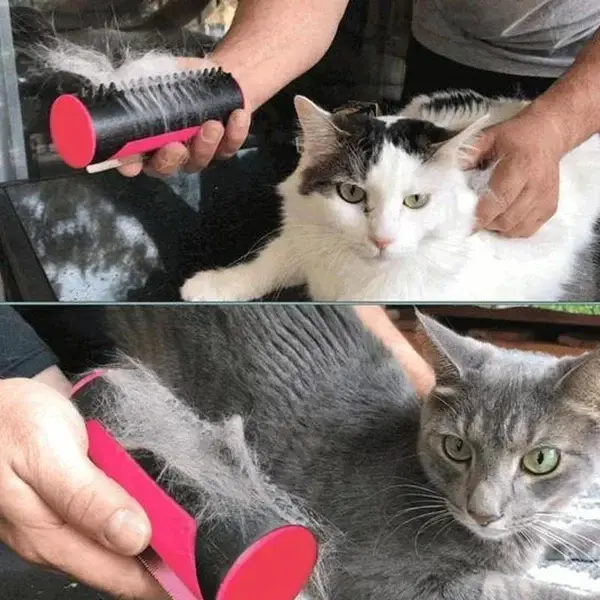 (⏱Last Day Promotion 49% OFF) Multifuncional Pet Hair Removing Grooming Brush 🔥BUY 2 SAVE $10