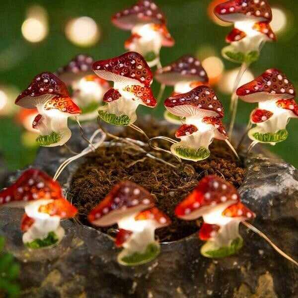 Mushroom LED String Lights