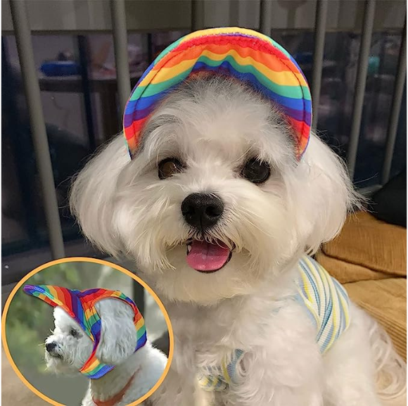 PET Hat Sunscreen