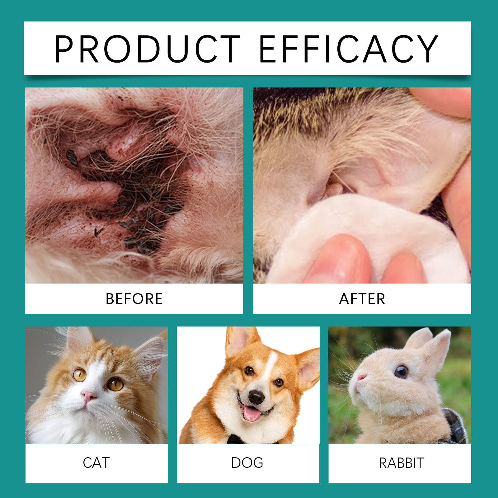 Ear Mite Solution For Pets