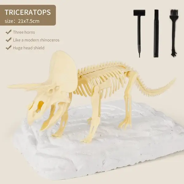 Great Educational Toy for Kids🎁New Arrival Dinosaur Fossil Digging Kit - Get Three Tools For Free🔥