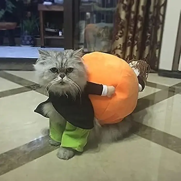 🎃Halloween Special 49% OFF🎃Dog & Cat Pumpkin Halloween Costume(BUY 2 GET FREE SHIPPING）