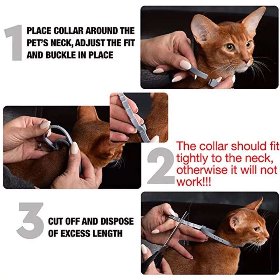 COLLAR - Flea And Tick Collar For Dogs & Cats