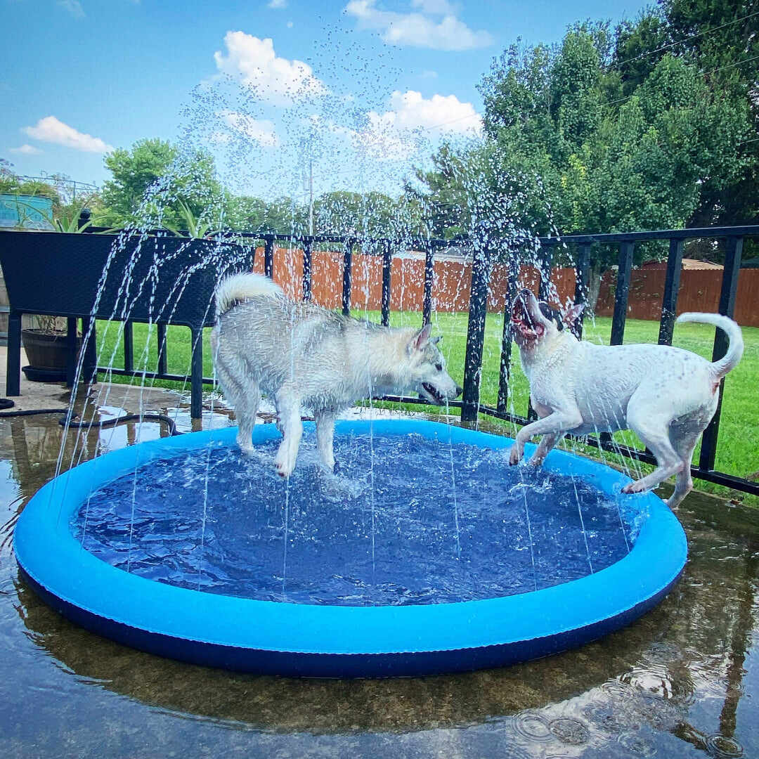 Doggo Splash Pad