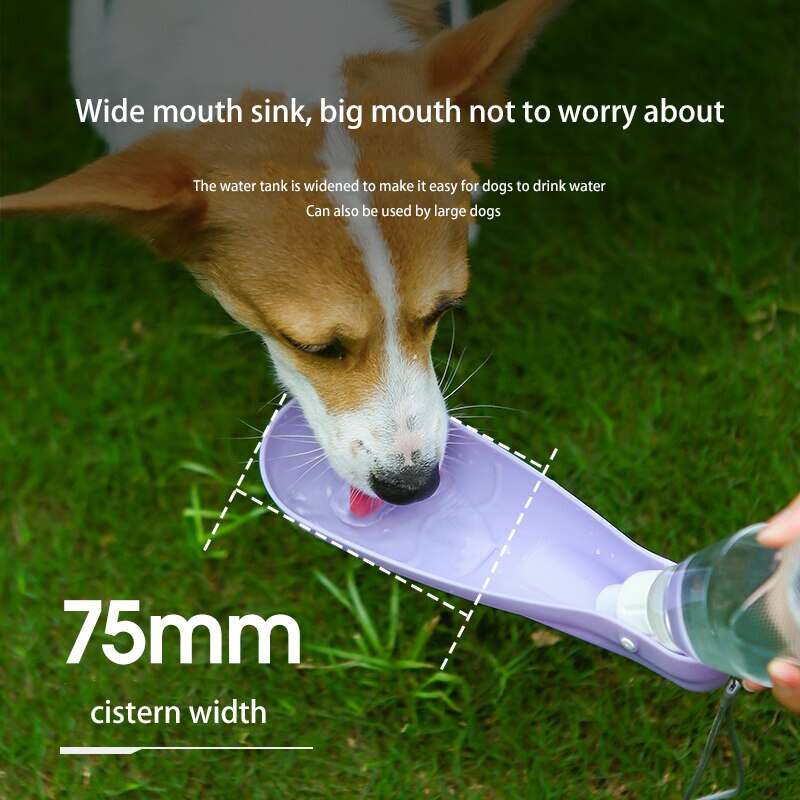 450ml Foldable PET  Water Bottle