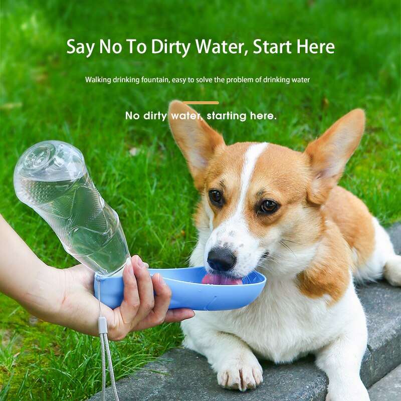 450ml Foldable PET  Water Bottle